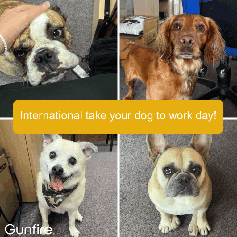 International take your dog to work day!